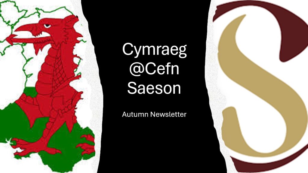 WELSH NEWS LETTER AUTUMN 2024
